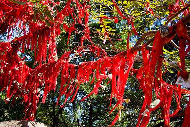 《最终幻想14》6.4版本“王座的罪人”全新预告