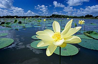 ShiftUp称D加密不会影响《星刃》性能 你信吗？