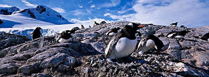 类银河恶魔城游戏《蒸汽人偶 混乱的秩序》现已在Steam平台推出试玩Demo